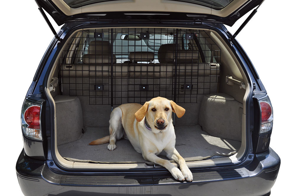 Mesh Barrier for Dogs in Car with Adjustable Plastic Buckle Car Pet Barrier for SUV Trucks Safe Driving Dog Car Barrier Front Seat Catcan Car Dog Barrier 