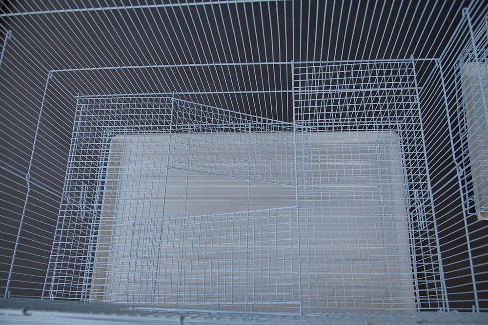 3 tier rat cage
