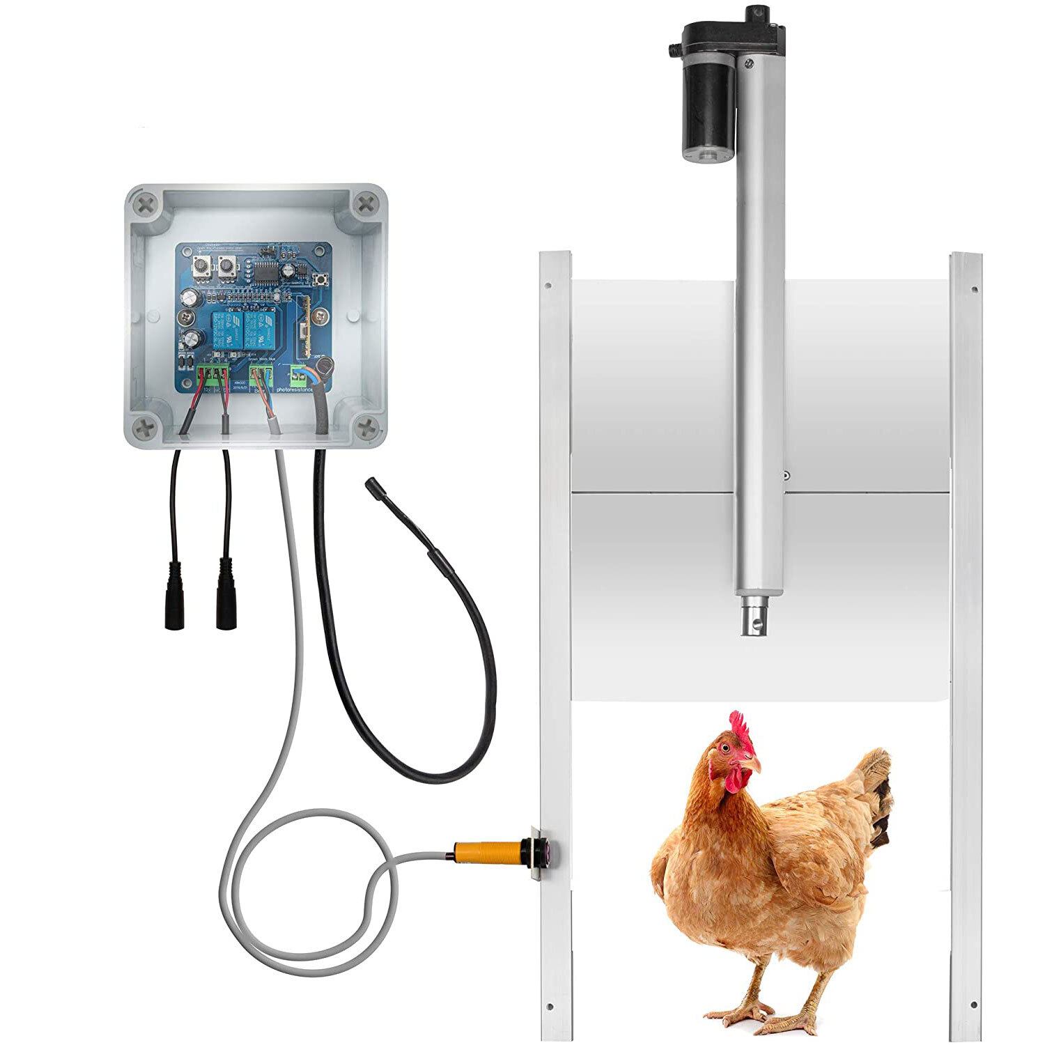 Flyline Automatic Chicken Coop Door Opener Closer With Sensor and Remotes