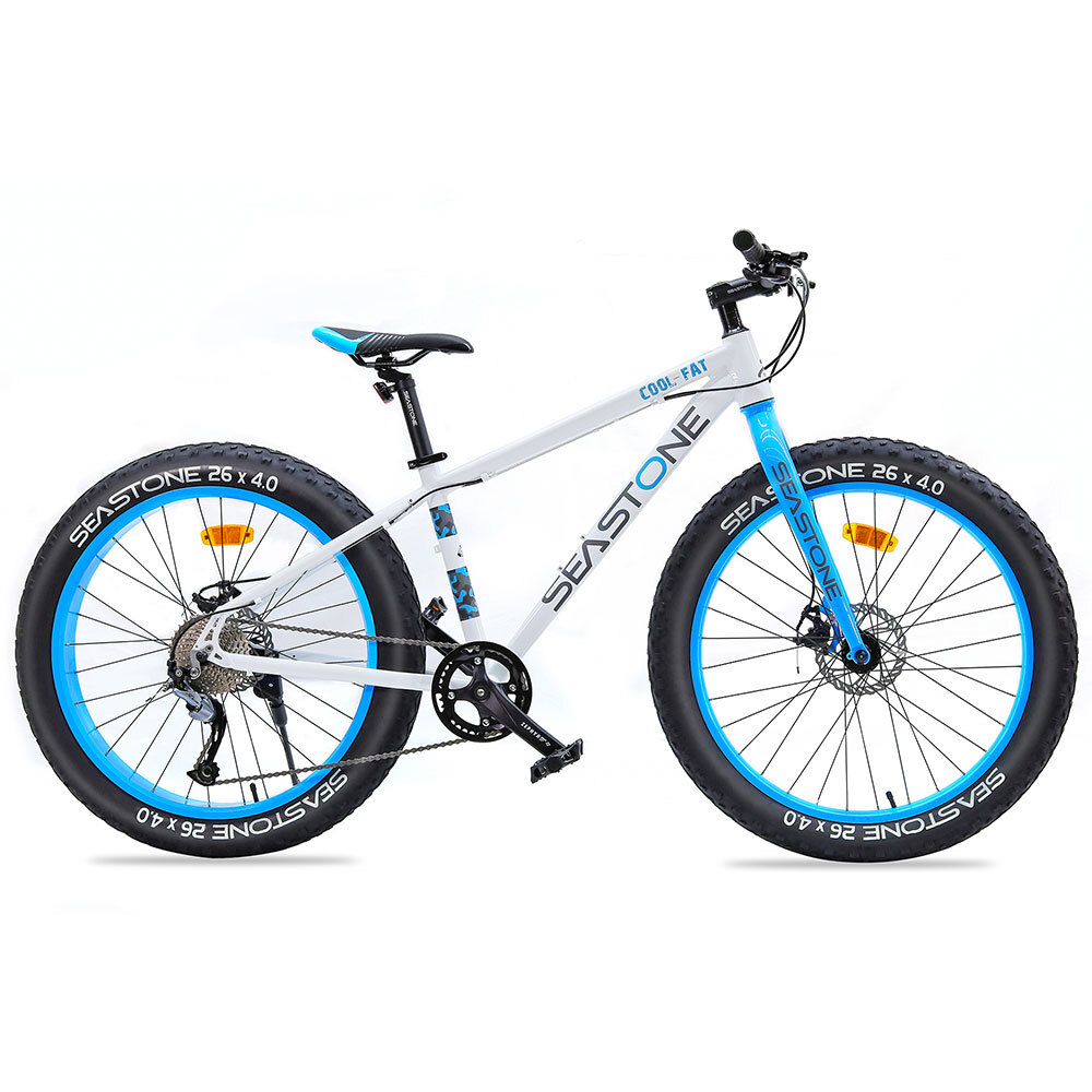 small fat bike