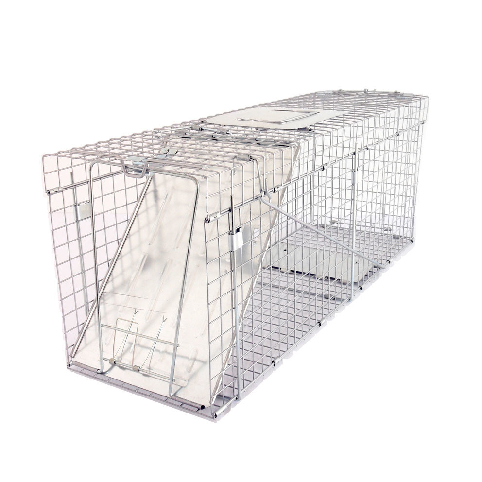 Large Collapsible Humane Animal Trap 81x25x30cm for Possum ...