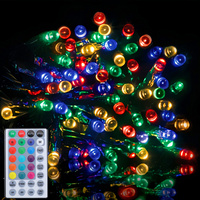 30m 300 LED Dynamic Color Changing Christmas Fairy Light with Remote Control