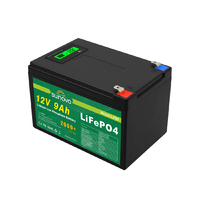 12V 9Ah Deep Cycle LiFePO4 Lithium Battery Rechargeable