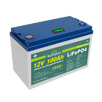 12V 100Ah Deep Cycle LiFePO4 Lithium  Battery Rechargeable