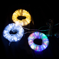 LED Mini Rope Light 10m For Christmas Lighting Decoration