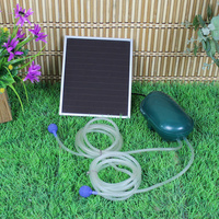 Day/Night Solar Oxygenator Air Pump