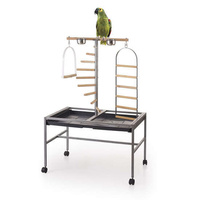The Parrot Bird Play Stand with Ladder and Swing