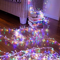 1000 LED Copper Wire Centipede Fairy Light