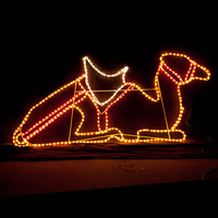 Three Wise Men's Sitting Camel LED Christmas Motif Rope Light Nativity