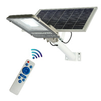 Sunovo 100W Solar Garden Pathway Street Light Adjustable Solar Panel