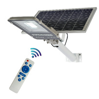 Sunovo 60W Solar Garden Pathway Street Light Adjustable Solar Panel