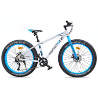 Seastone Cool Fat Bike Shimano Acera 9 Speed